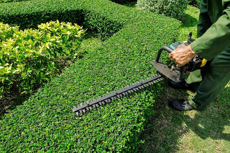 Chiffrage entretien de jardin